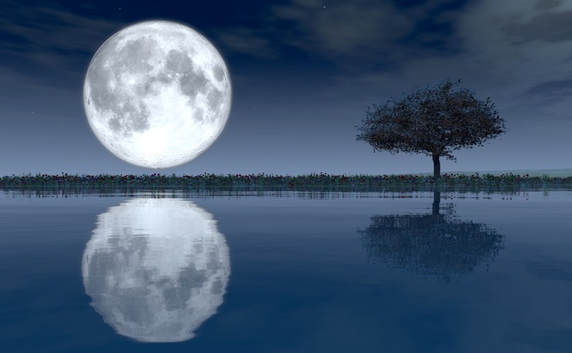 Habit #4 –&nbsp;Reflection